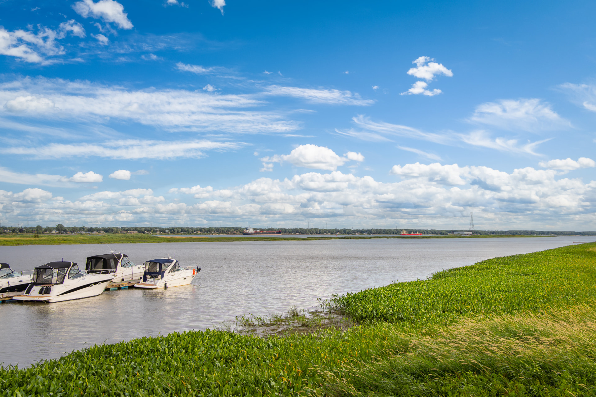 Bateaux amarrés au bord du fleuve Saint-Laurent, au Québec